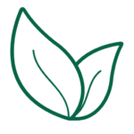 Transforme sua casa e jardim com dicas exclusivas de decoração sustentável, jardinagem e hortas domésticas. Descubra segredos que vão transformar seu espaço e sua vida – clique agora